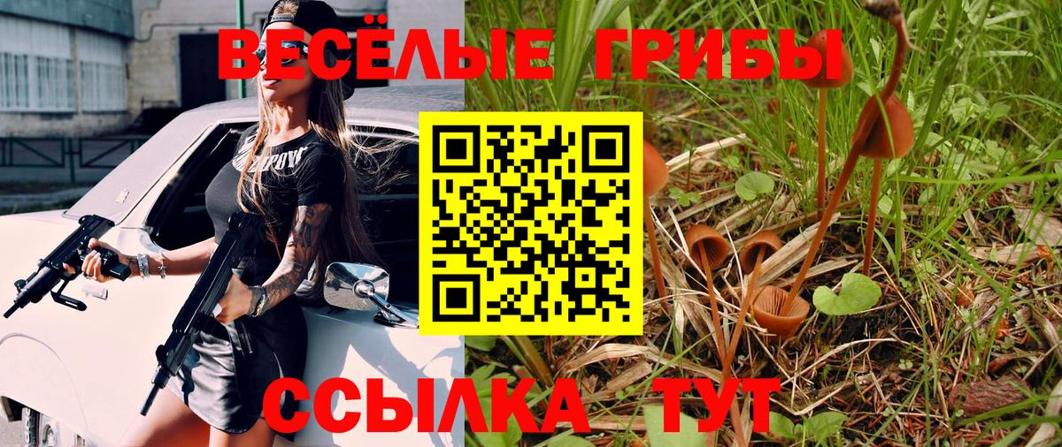Камышин  Псилоцибиновые грибы Psilocybe  Вход с VPN 