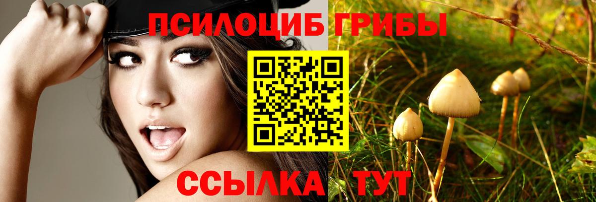 Галлюциногенные грибы Magic Shrooms Камышин